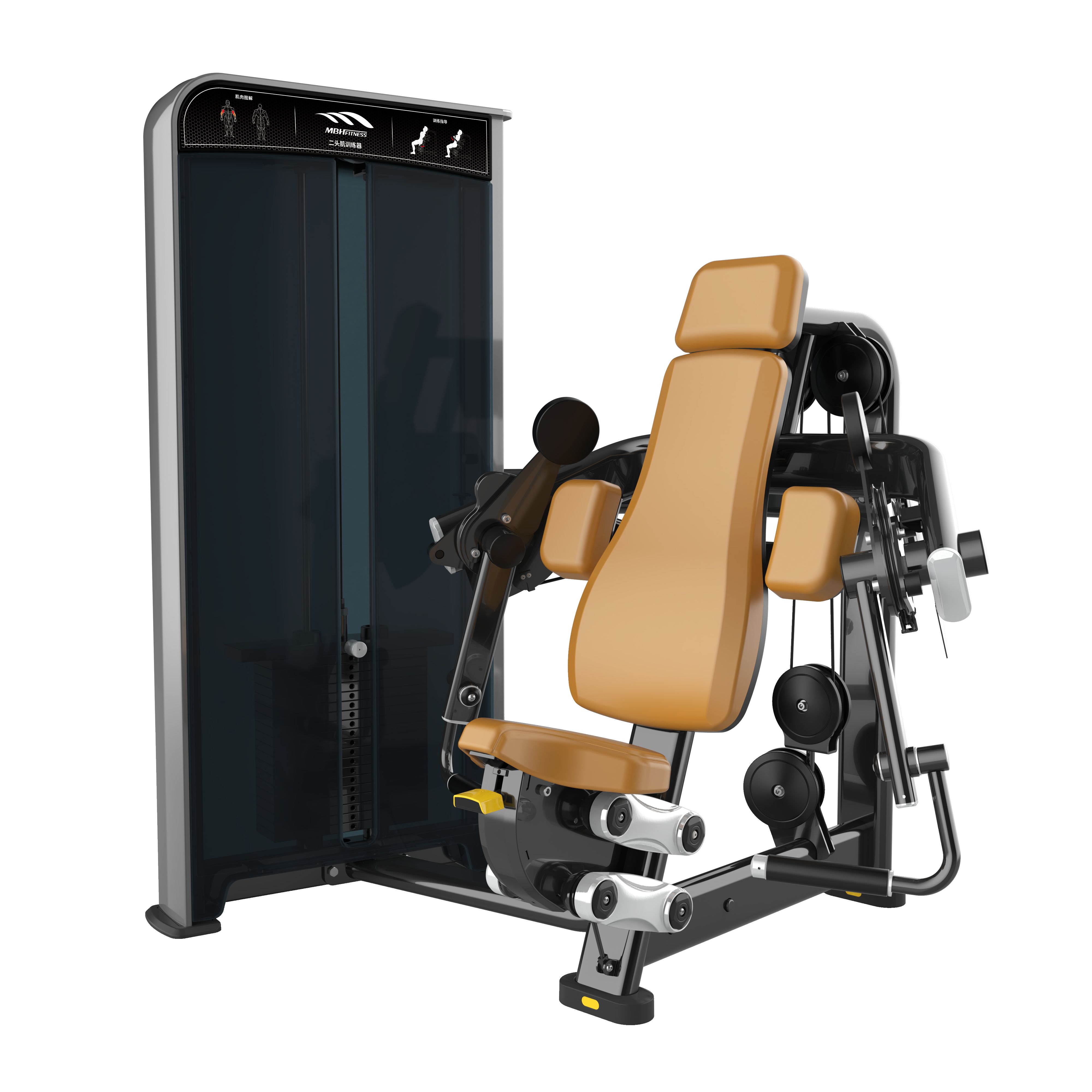 Metis Series Bicep Curl | Bizepsmaschine x 70kg